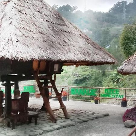 Rice Homestay Banaue Zewnętrze zdjęcie