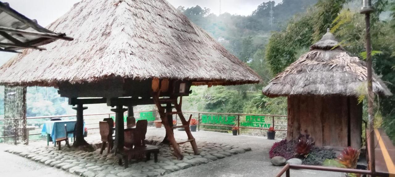 Rice Homestay Banaue Zewnętrze zdjęcie