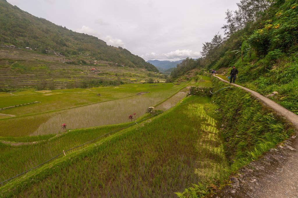 Rice Homestay Banaue Zewnętrze zdjęcie